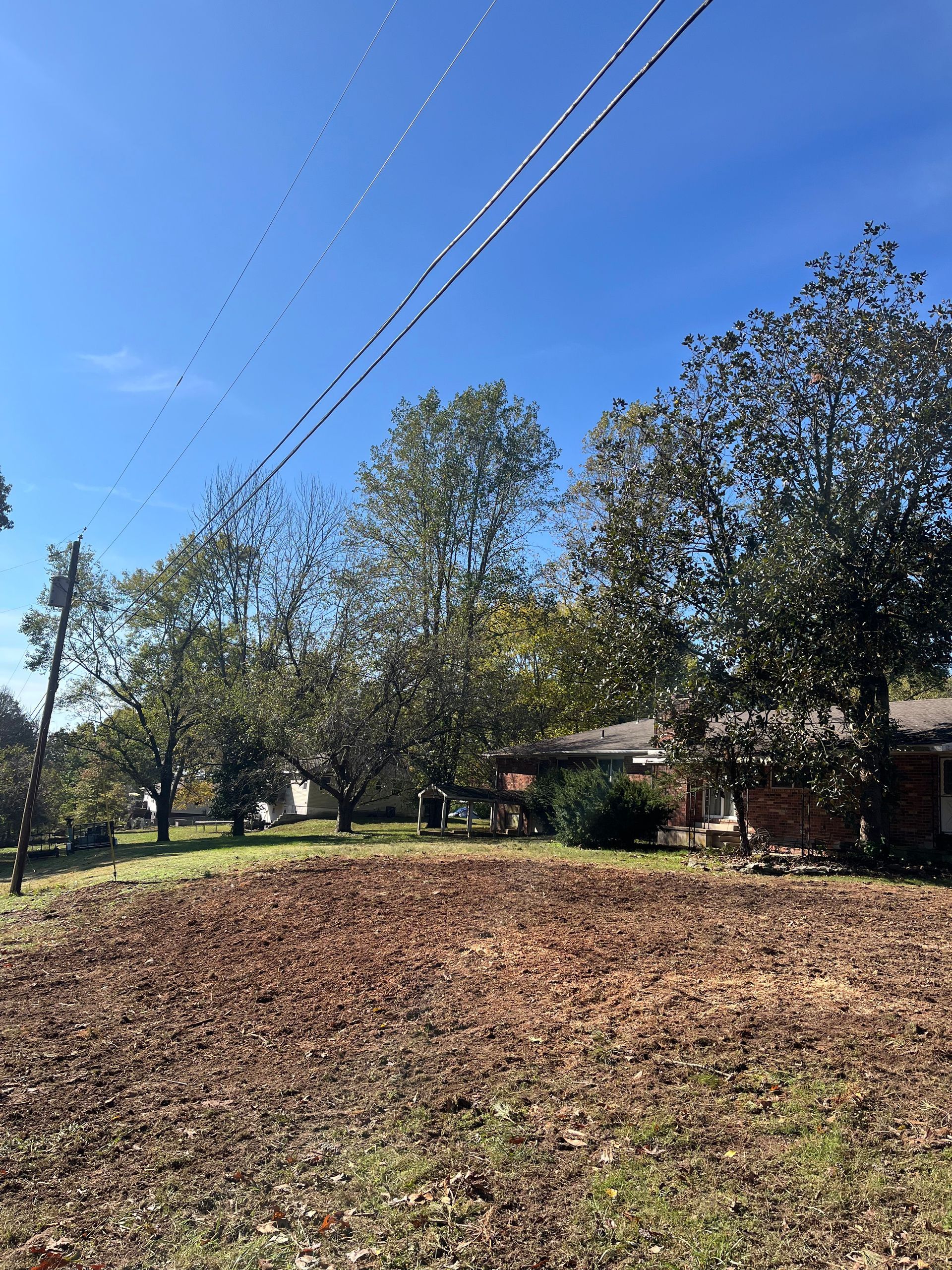 A yard covered in autumn leaves sits in front of trees and a brick house under a clear blue sky.