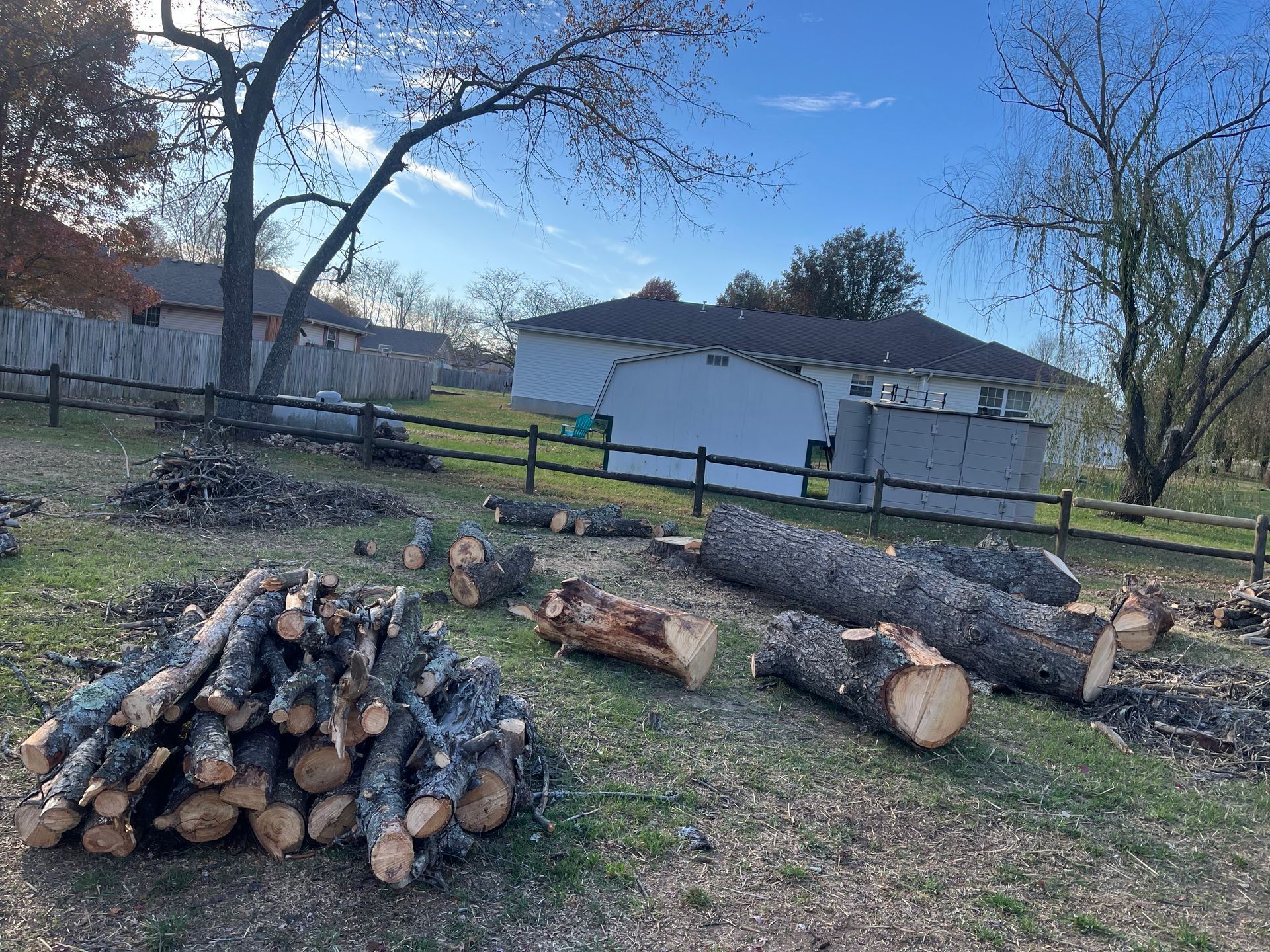 A backyard scene shows a large stack of chopped logs and several long tree trunks on the grass near a fence and shed.