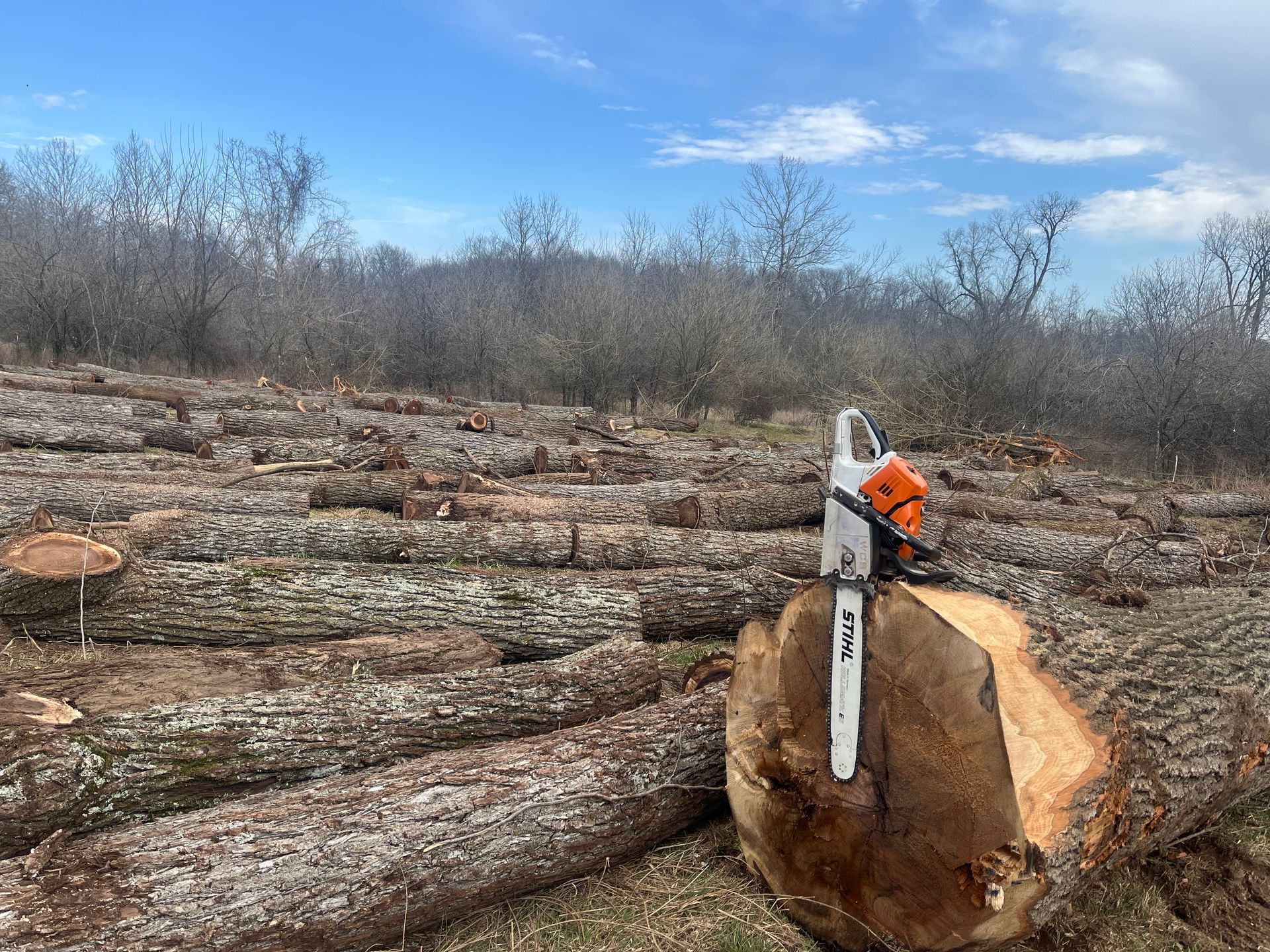 A chainsaw rests vertically on a freshly cut log in a clearing filled with stacked logs under a bright blue sky.