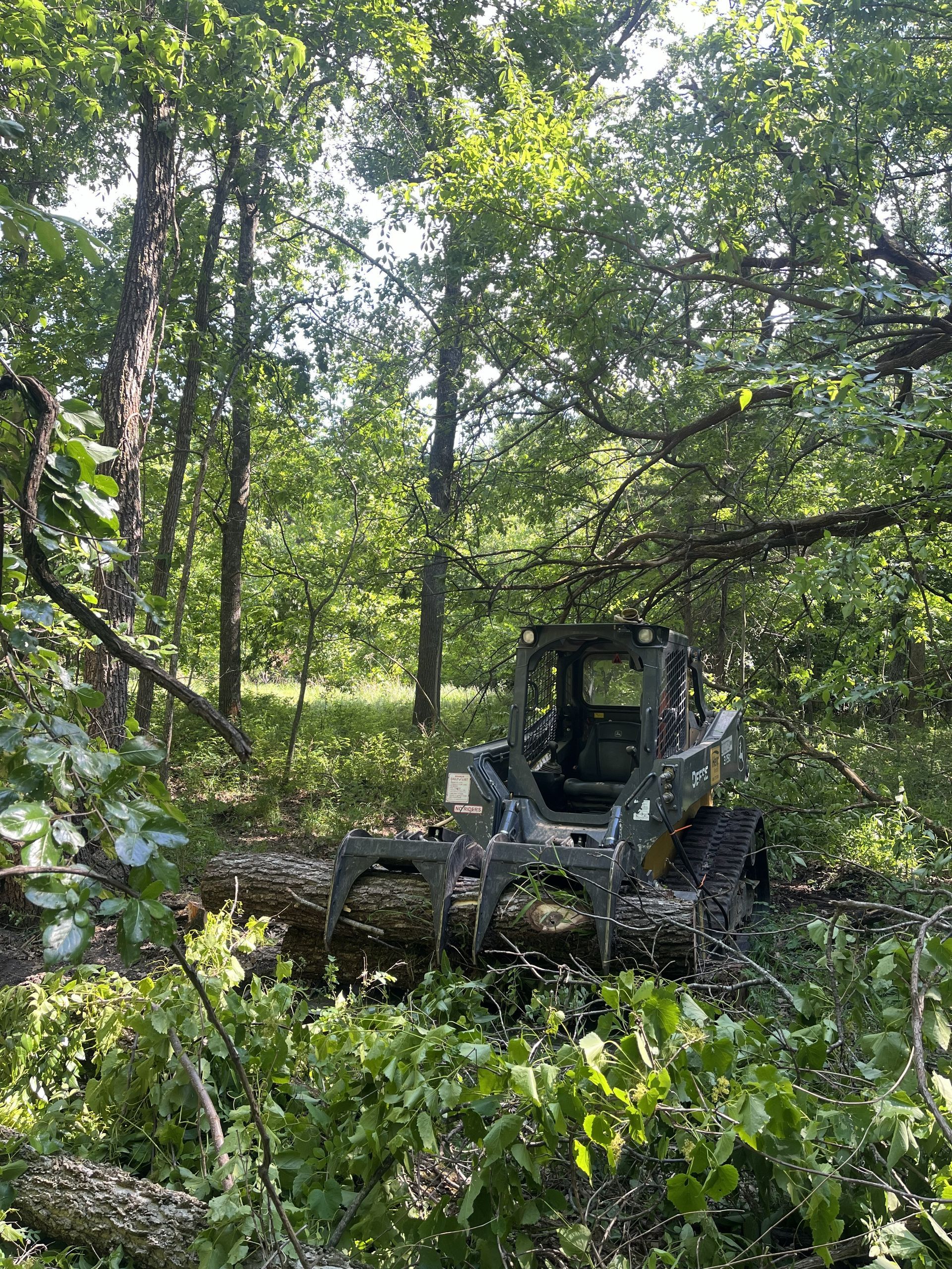 Tractor clearing brush in a sunlit wooded area