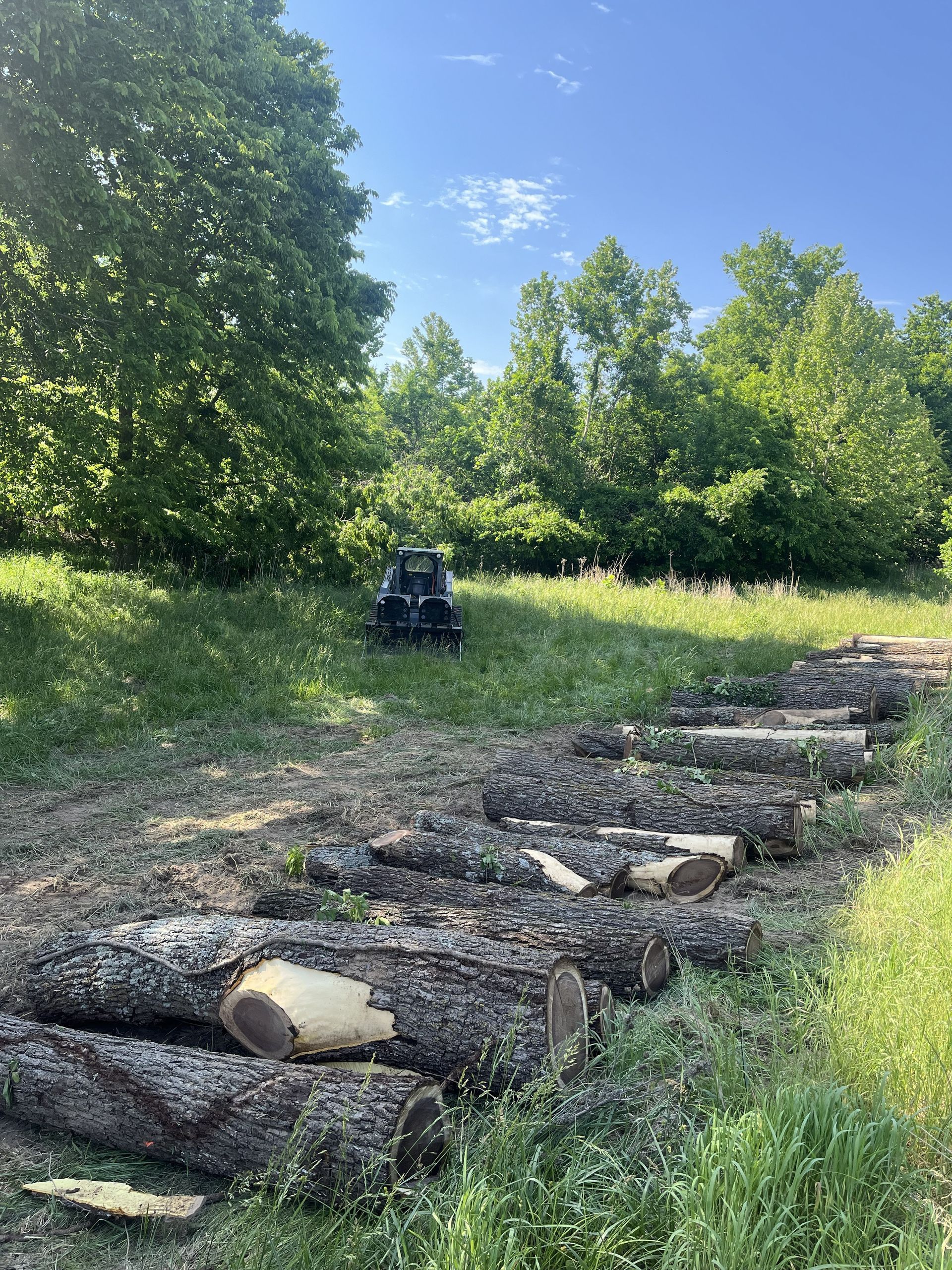 Logs stacked beside a grassy clearing with a small black machine in the distance under a bright blue sky