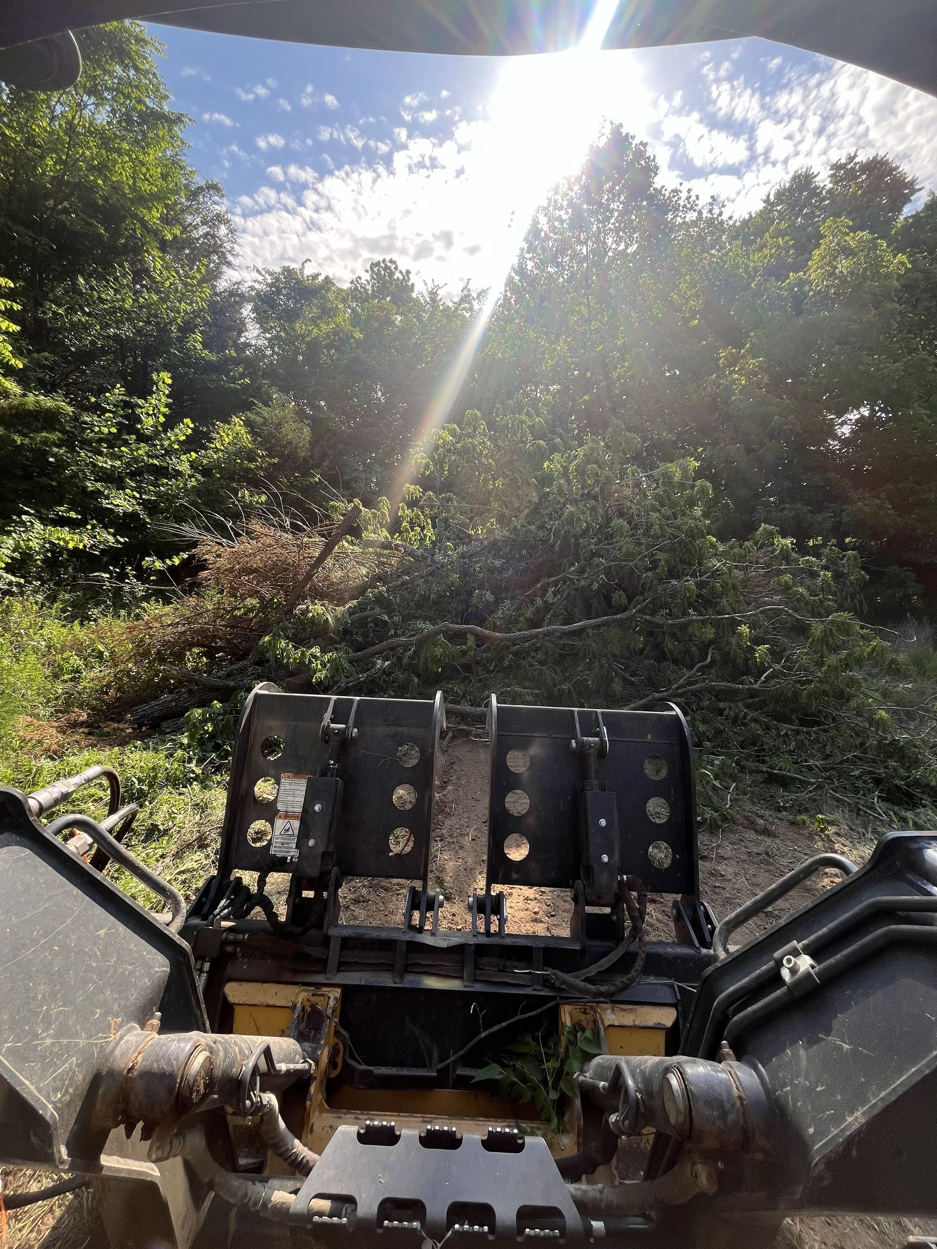 Front view from an off-road vehicle on a sunlit dirt trail, with handlebars and leafy trees ahead