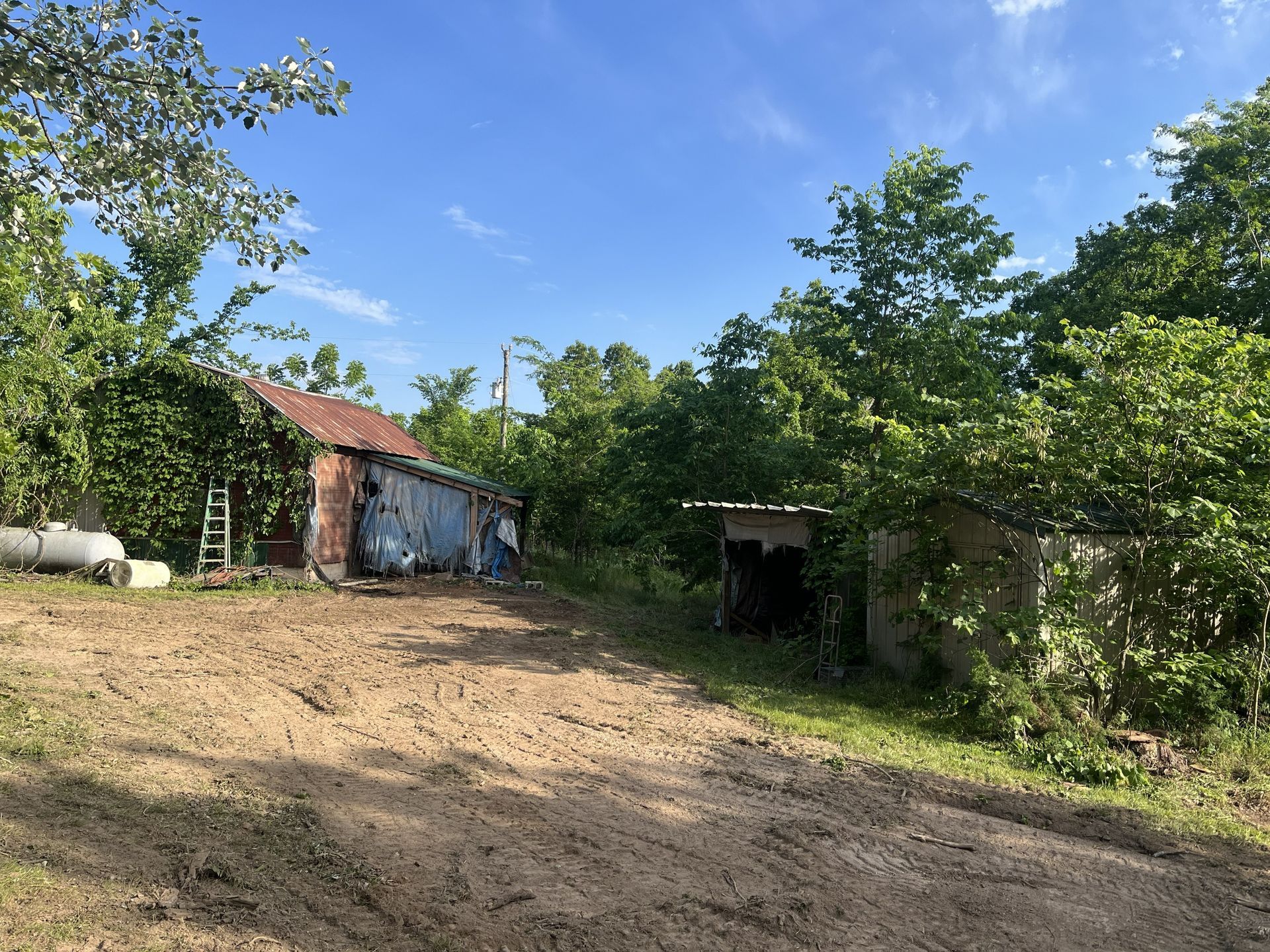Rural dirt path beside a small brick shed and dense green trees under a bright blue sky