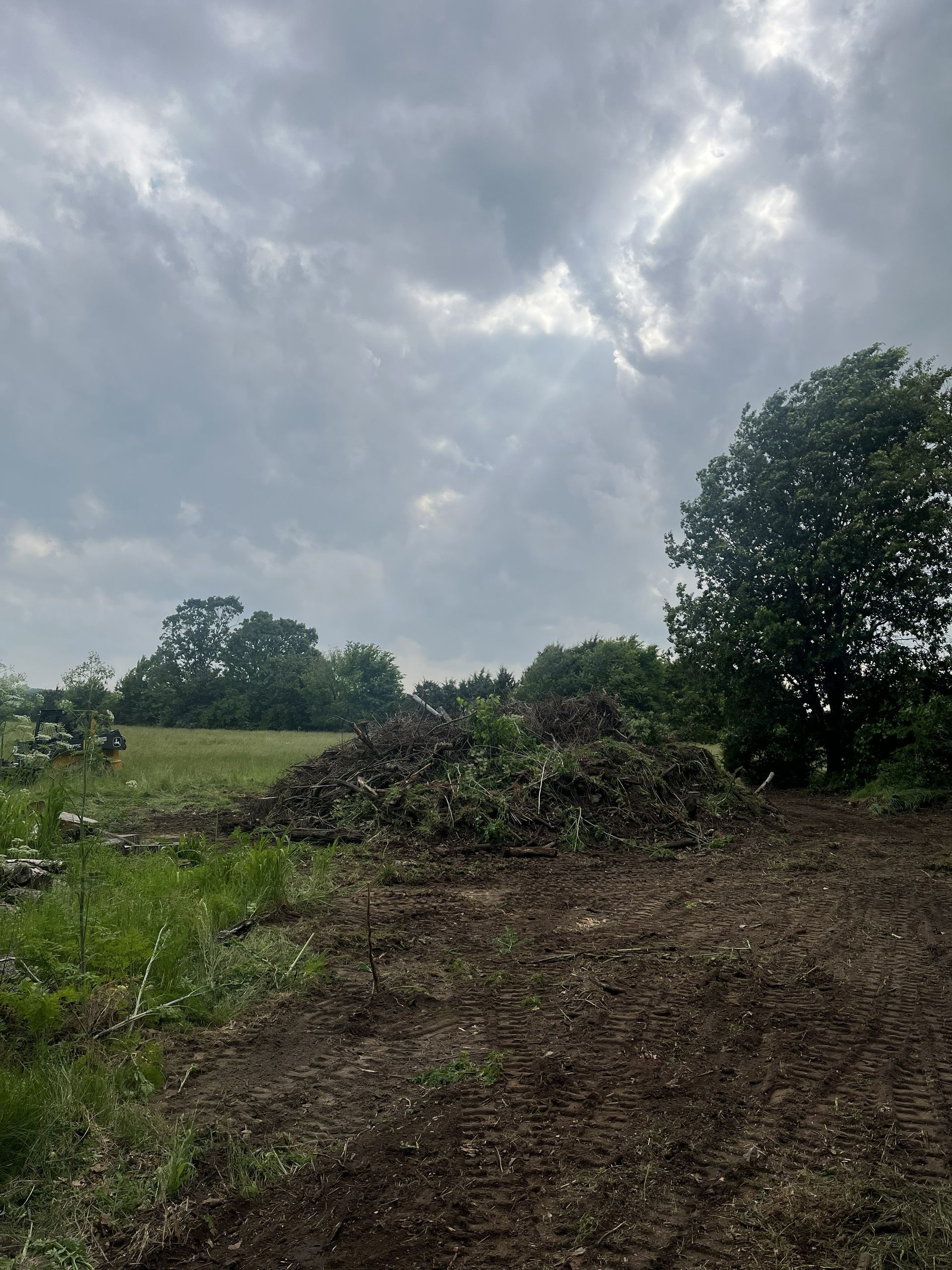 Cloudy sky over a grassy field with a dirt path and trees in the distance