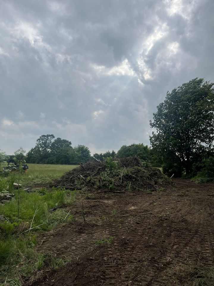 Cloudy sky over a grassy field with a dirt path and trees in the distance