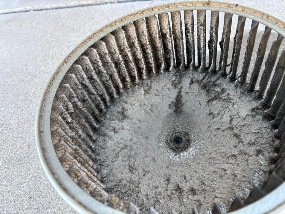 A close-up of a heavily soiled blower wheel with accumulated dust and debris; likely from an HVAC system.