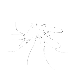 Bees | Tampa, FL | Pestgo Exterminators