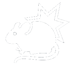 Rodent | Tampa, FL | Pestgo Exterminators