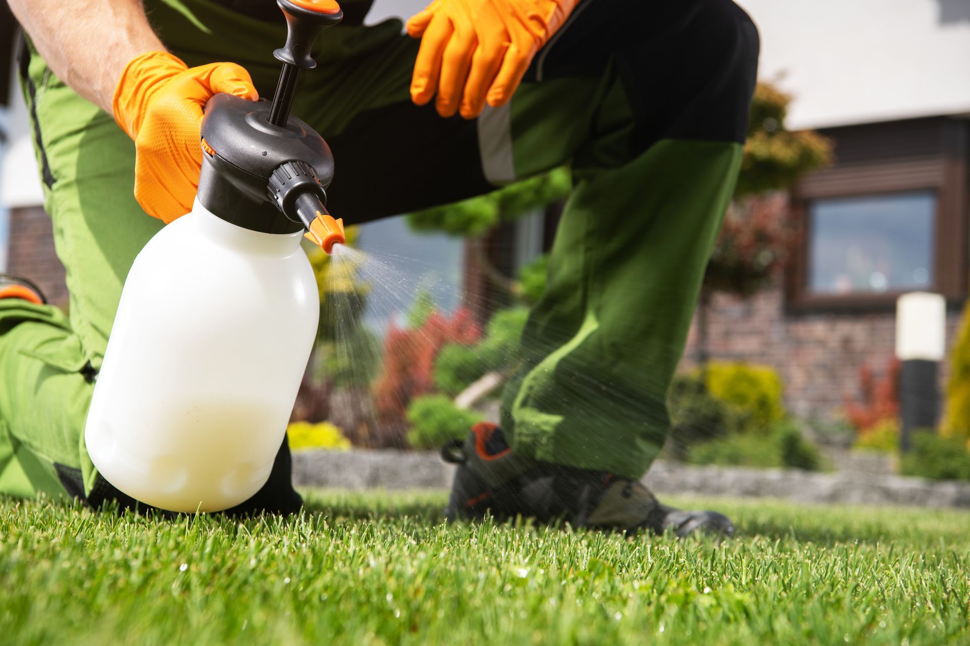 Man Holding Spray Bottle | Tampa, FL | Pestgo Exterminators