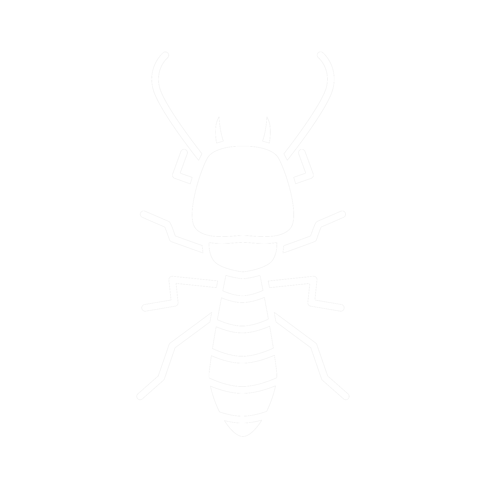 Termites | Tampa, FL | Pestgo Exterminators