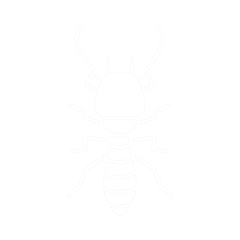 Termites | Tampa, FL | Pestgo Exterminators Termites | Tampa, FL | Pestgo Exterminators