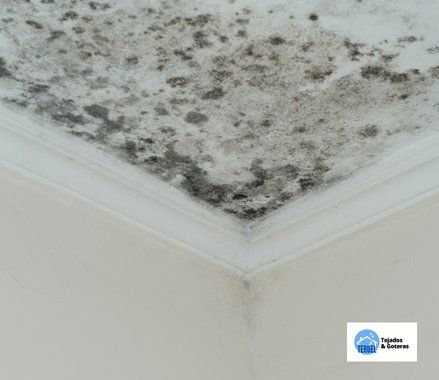 Reparar Humedades en el Tejado en Teruel
