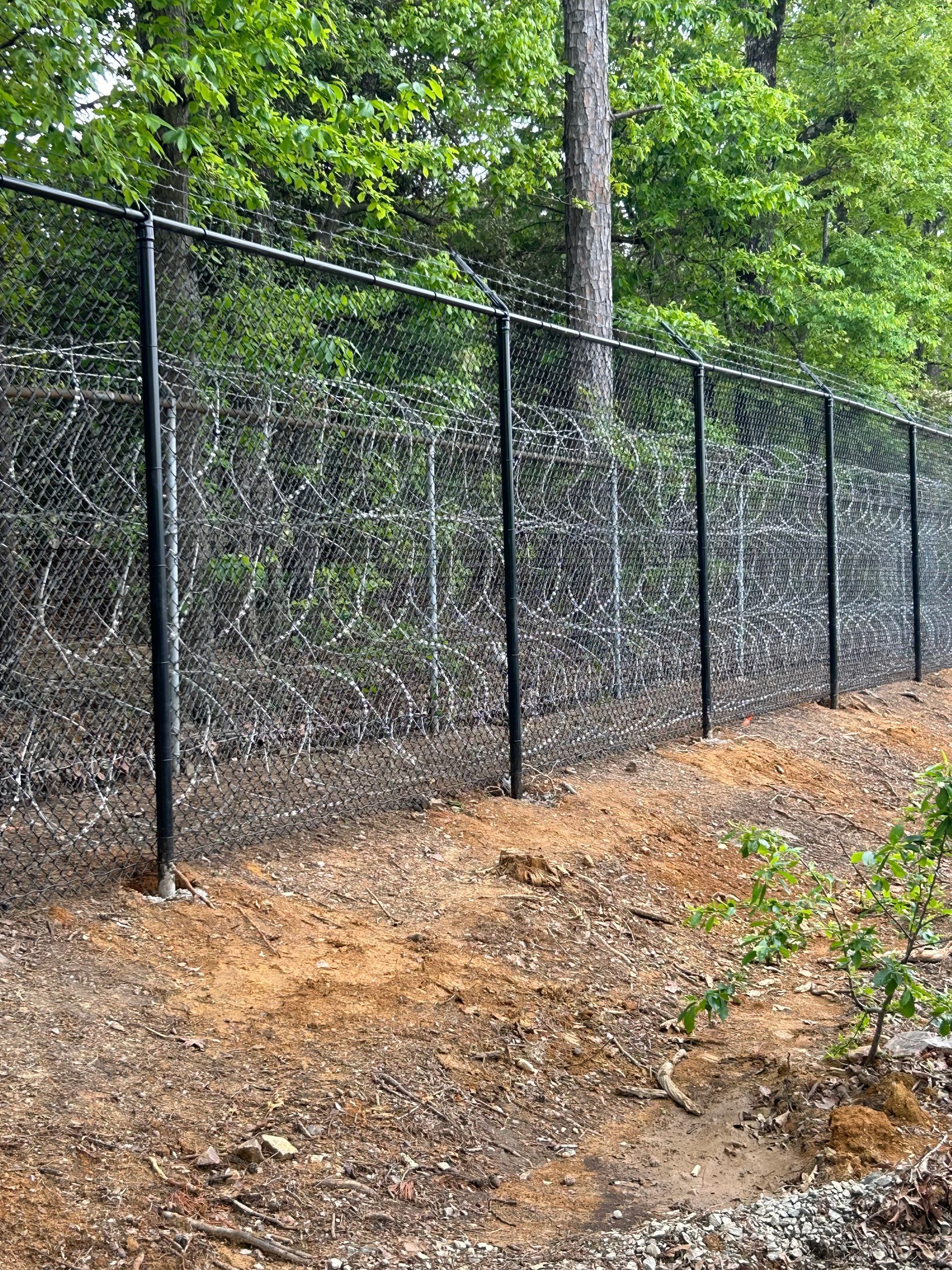 Black chain-link fence along a wooded path with dry ground and green trees