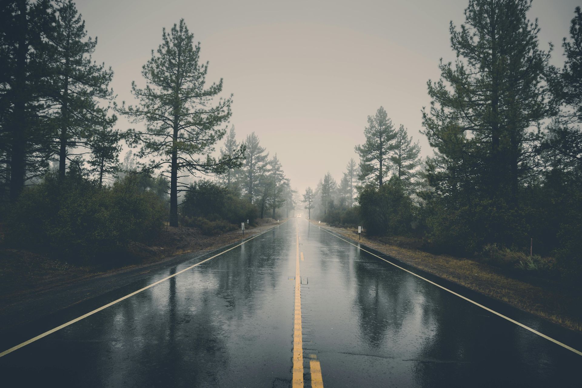Newly finished asphalt road