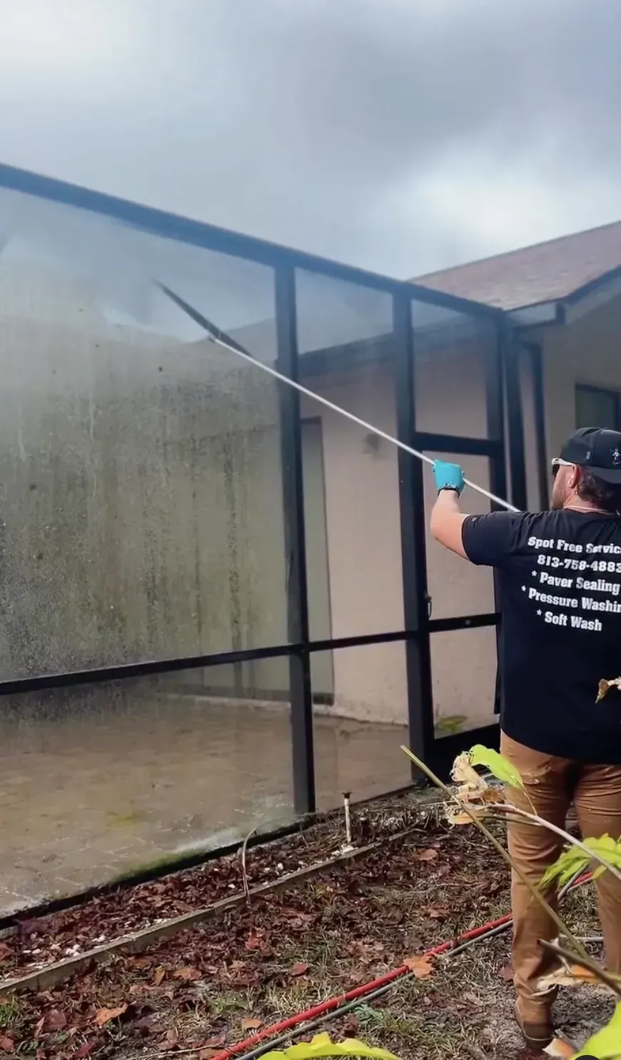 A person in a black t-shirt uses a long pole to pressure wash a dark screen enclosure on the side of a house.