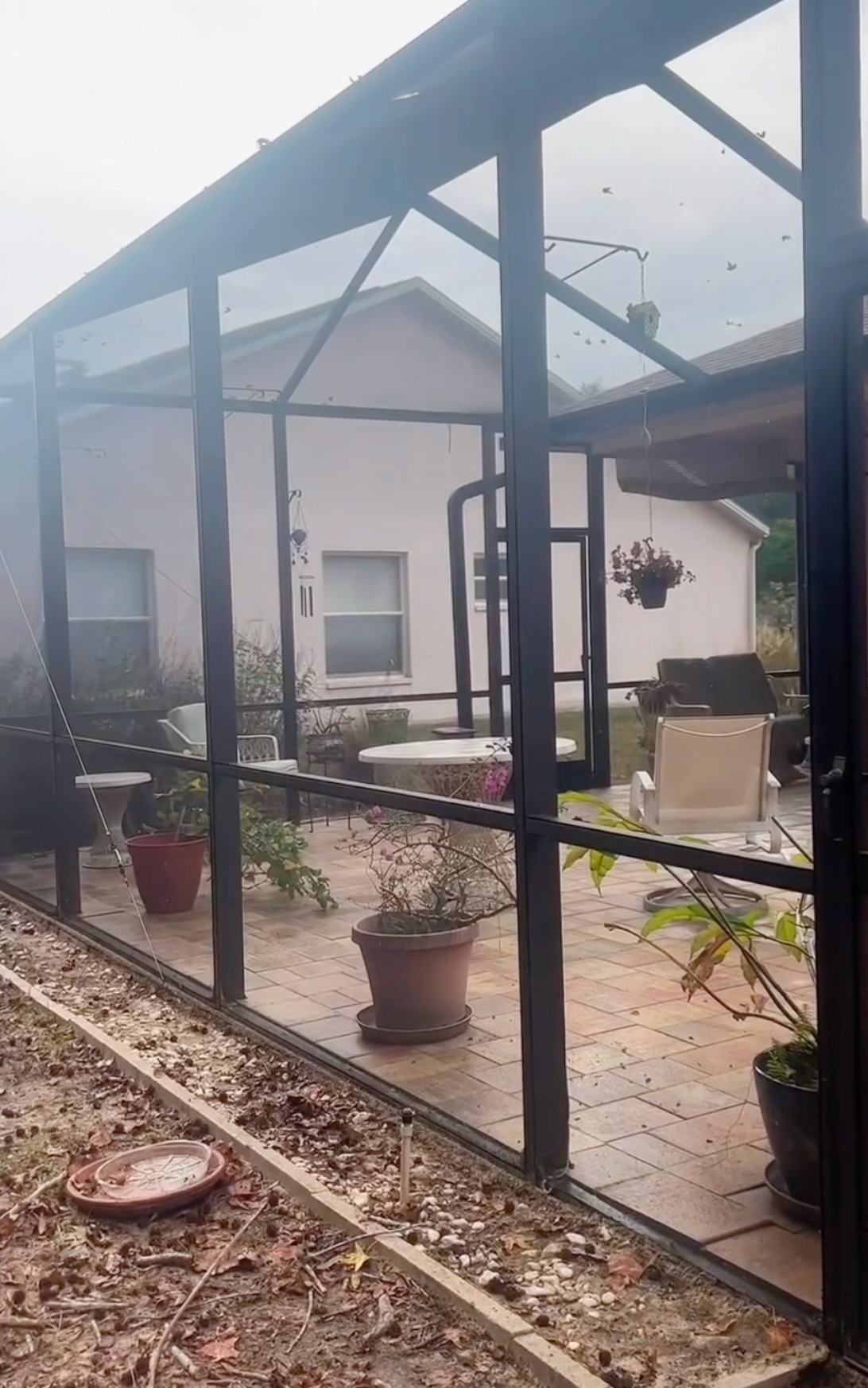 A view of a patio with potted plants and furniture, enclosed by a black metal screened-in porch, with a house in the back.