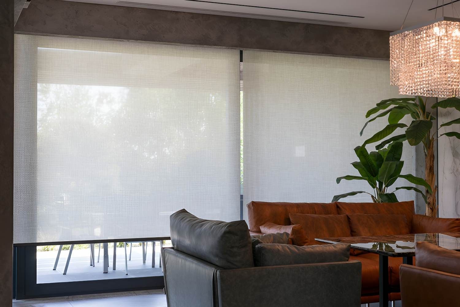 A Living Room With a Couch a Chair and a Plant — Manning Blinds & Awnings in Taree, NSW
