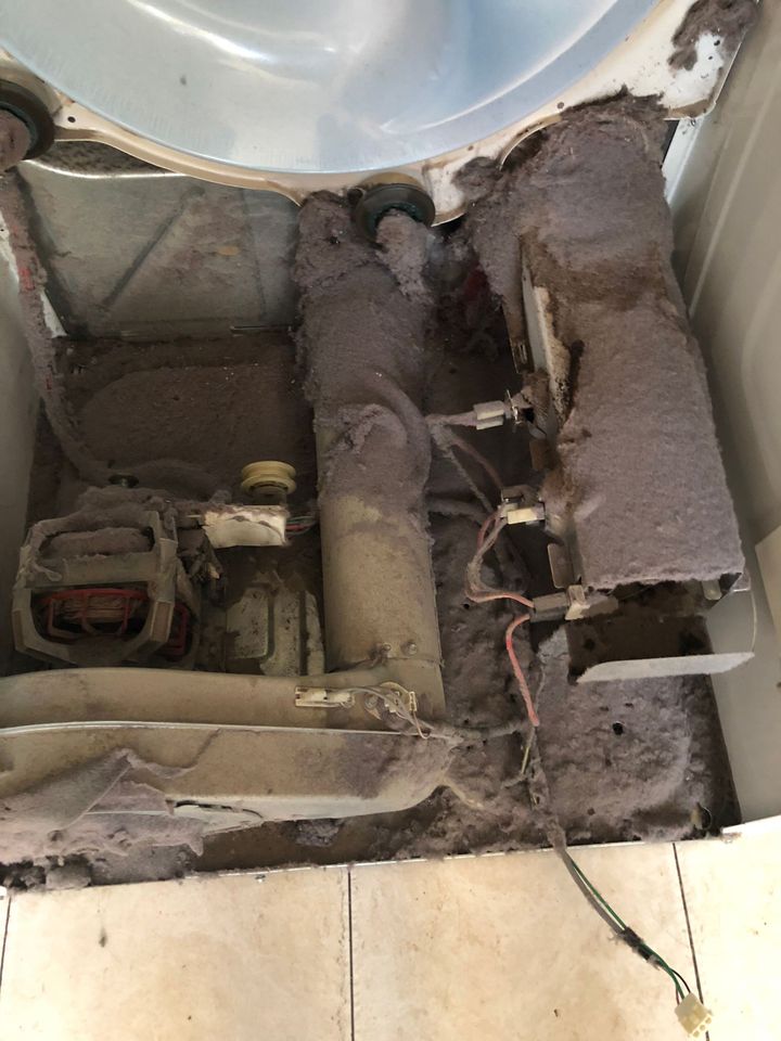 Moldy, damaged ceiling with exposed wiring and pipes around a circular light fixture