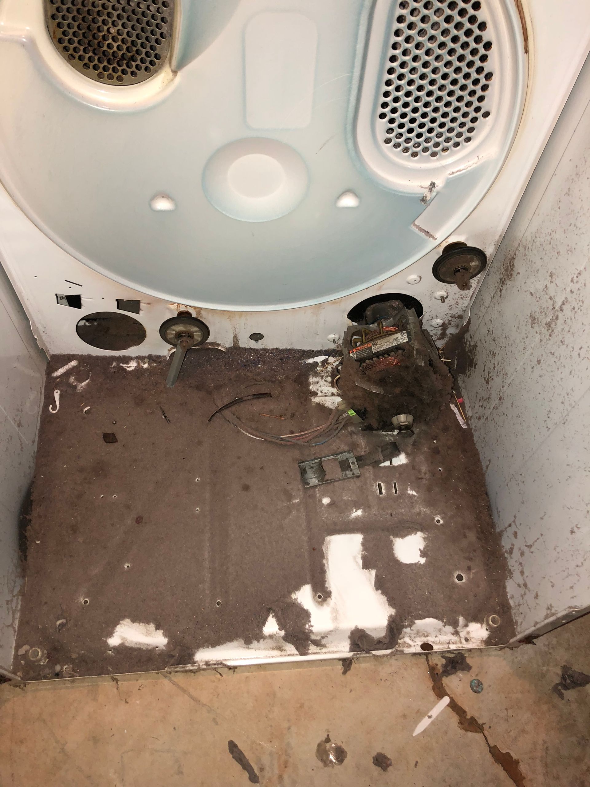 Dirty, rust-stained laundry machine interior with debris and mold-like buildup on the bottom panel