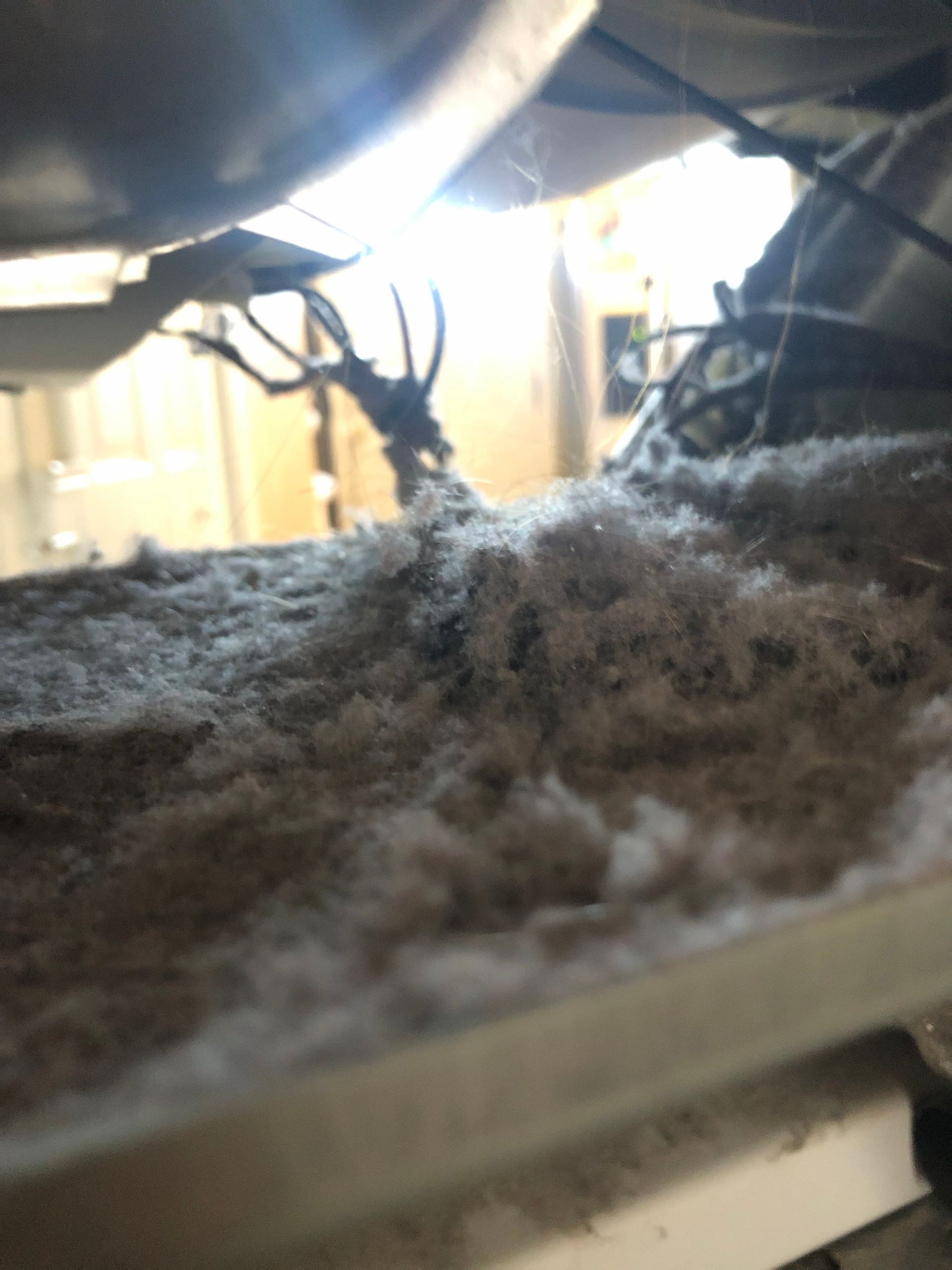 Dusty attic crawlspace with insulation and exposed pipes under a bright light