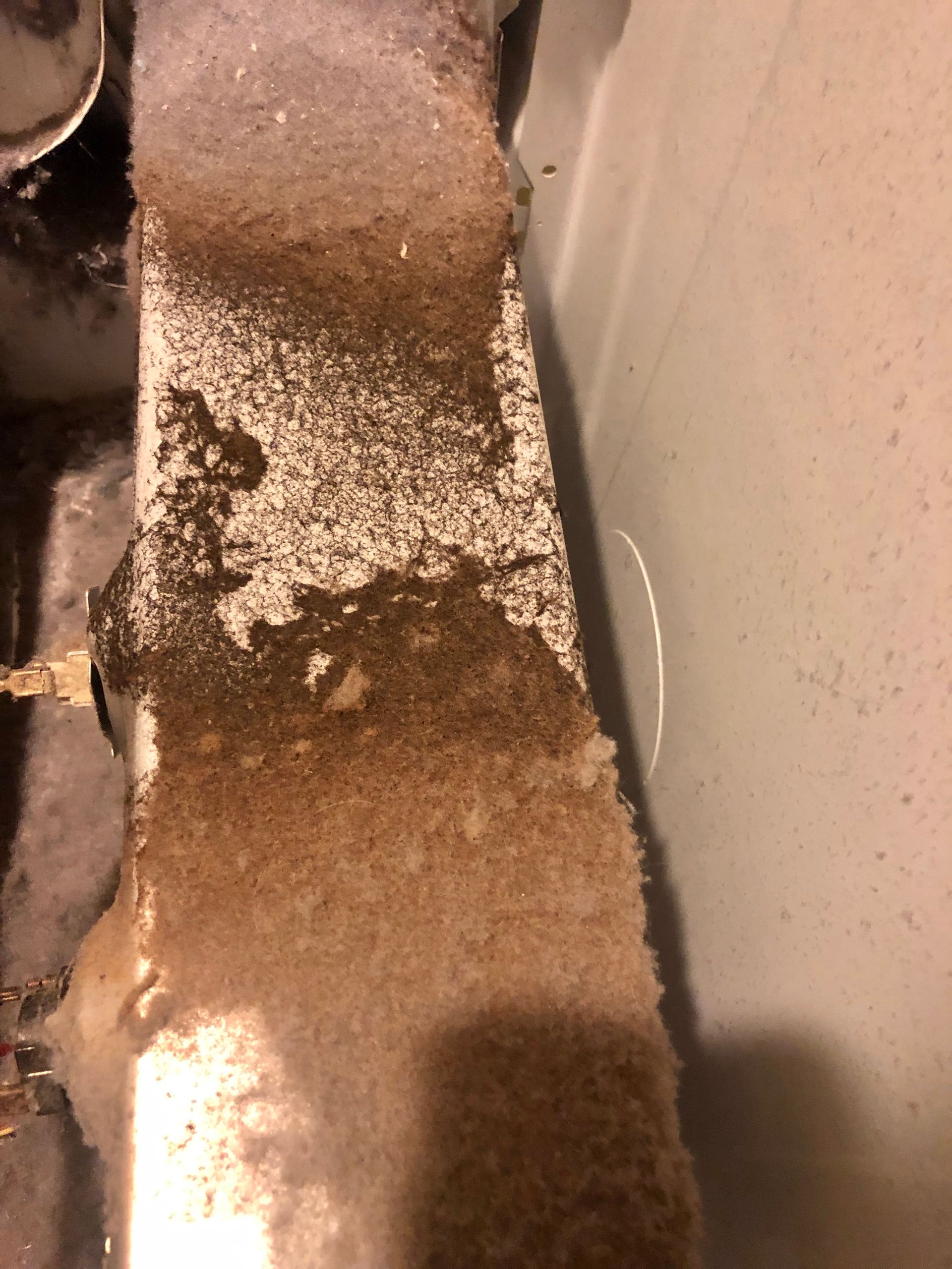 Brown carpeted stair edge with a white textured wall and a dark shadowed area beside it