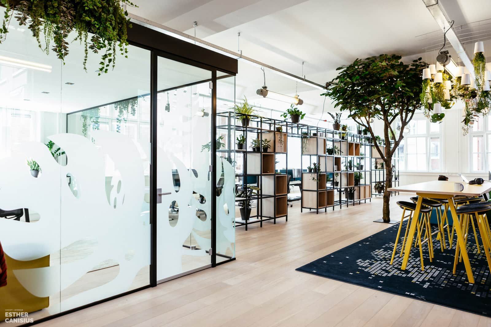 Kantoorruimte in Breda - biophilic design