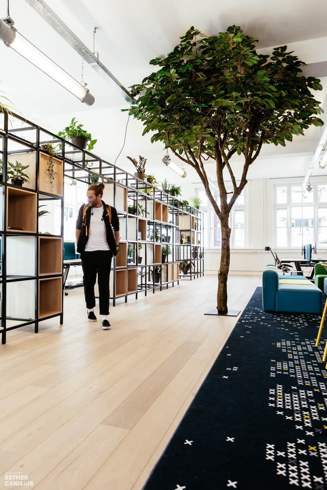 Creatief interieurontwrp met kunstboom en planten