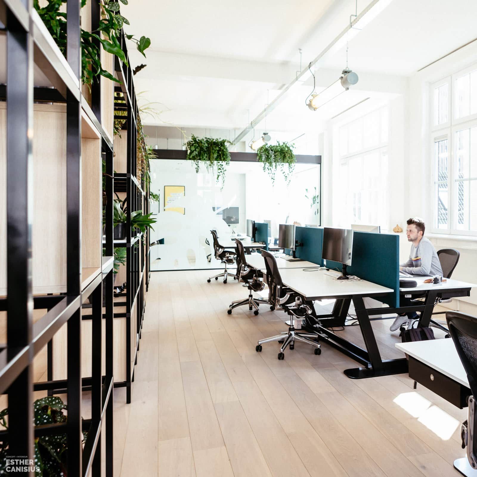 Werkplekken gepositioneerd bij de hoge ramen - biophilic design