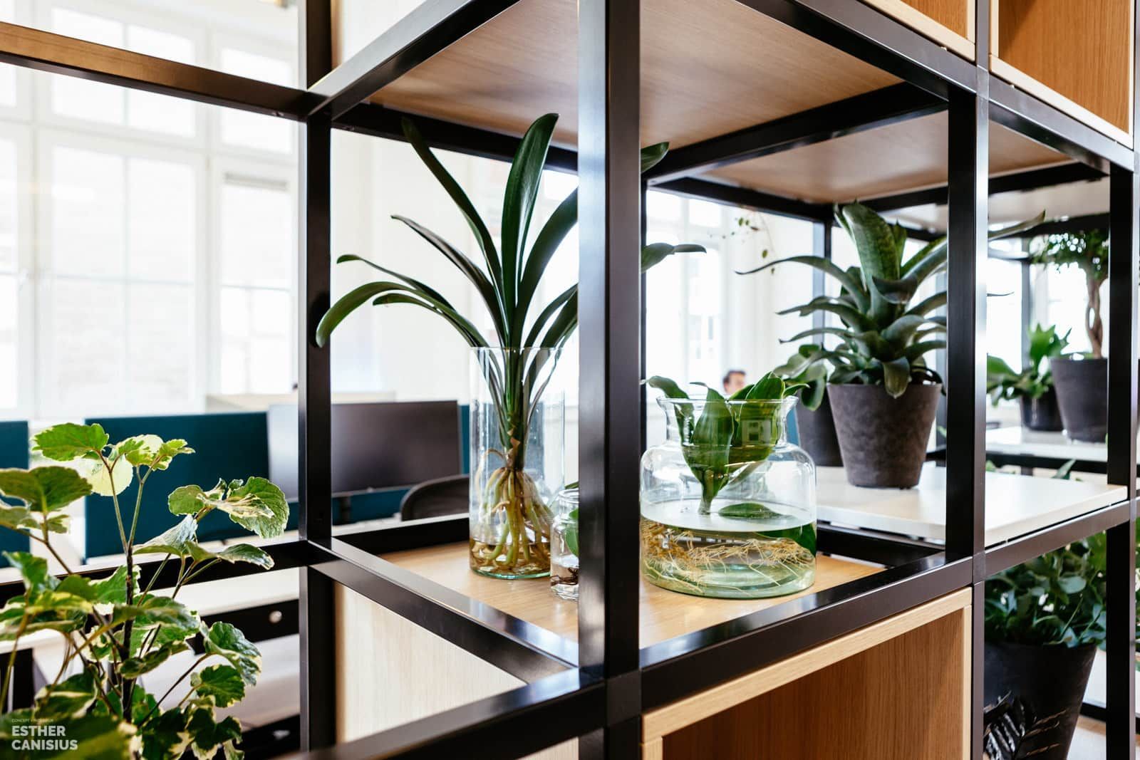 Ontwerp voor kantoor in Breda met veel groen en planten