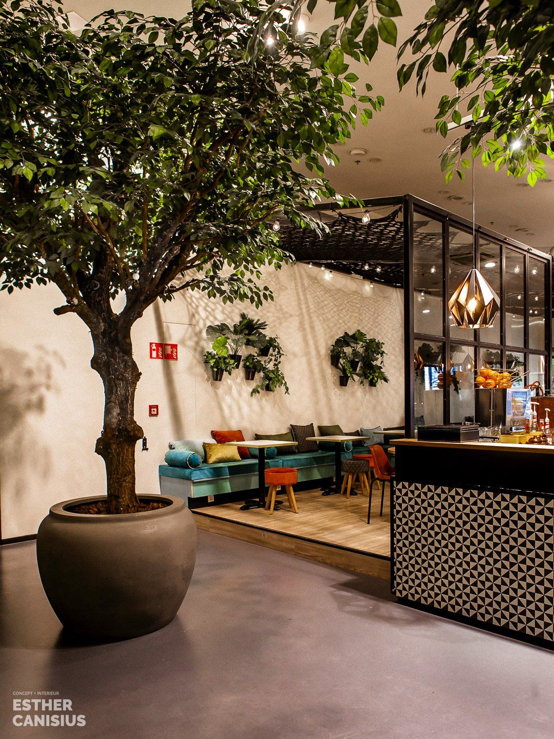 Plaats voor kunstbomen in een Turks restaurant in Rotterdam - Esther Canisius