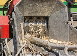 Dead Tree Removal | Wood Chipper - Berwick ME