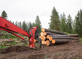 Logging & Lot Clearing - Berwick ME