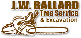 Tree Trimming | Stump Grinding Services - Berwick ME