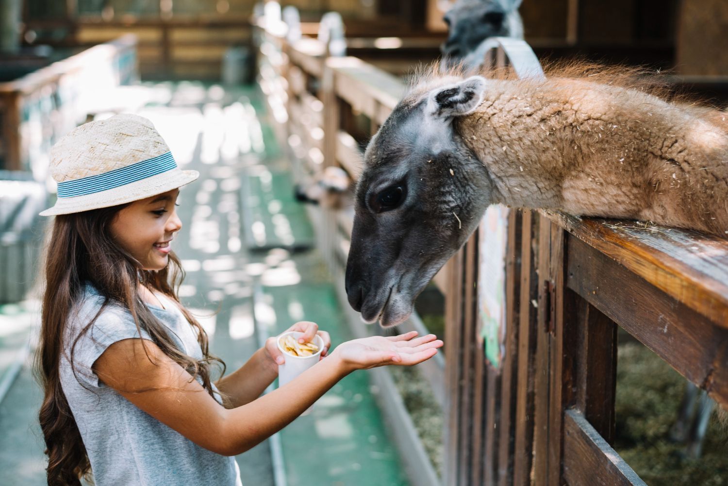 Girl feeding a tapir at a zoo enclosure, smiling across the wooden railing.