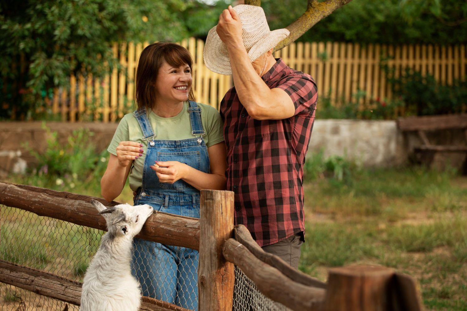 Two people laughing by a wooden fence with a white goat in a grassy farm setting