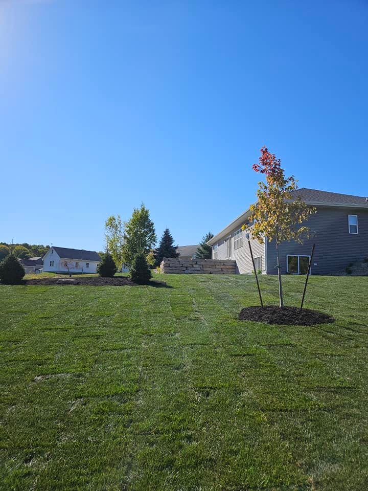 Green lawn with small trees, a house, and a clear blue sky.