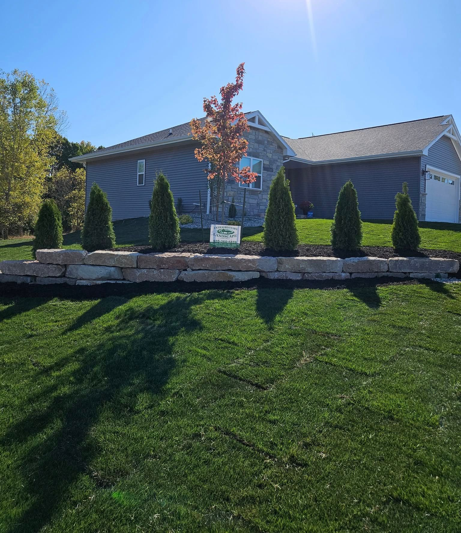 A house with a stone retaining wall, evergreen trees, and a tree with red leaves on a sunny day.