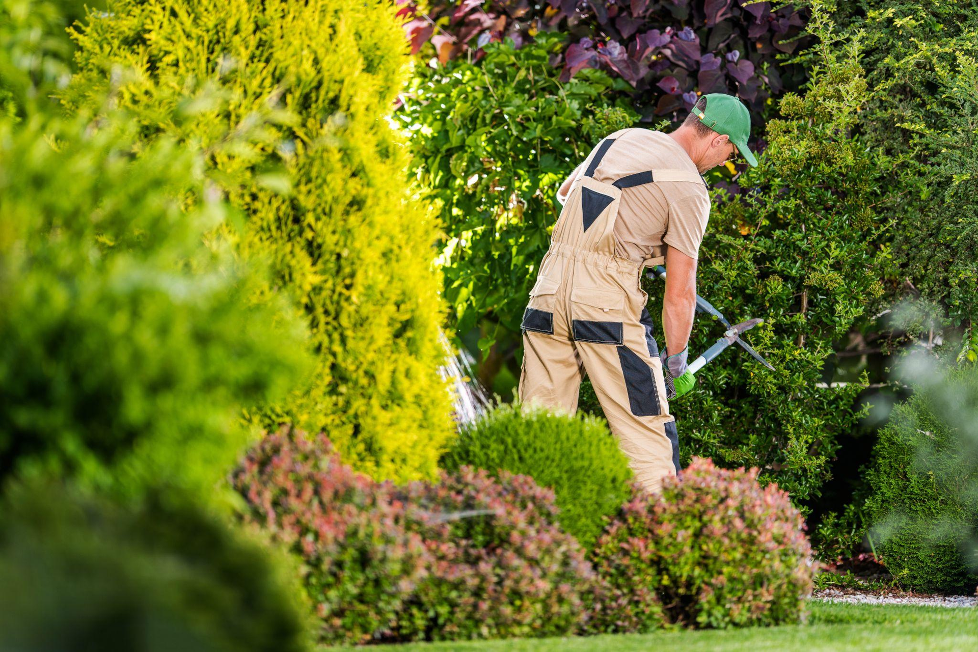 Seasonal Landscape Maintenance: Year-Round Care for a Healthy Lawn and Garden