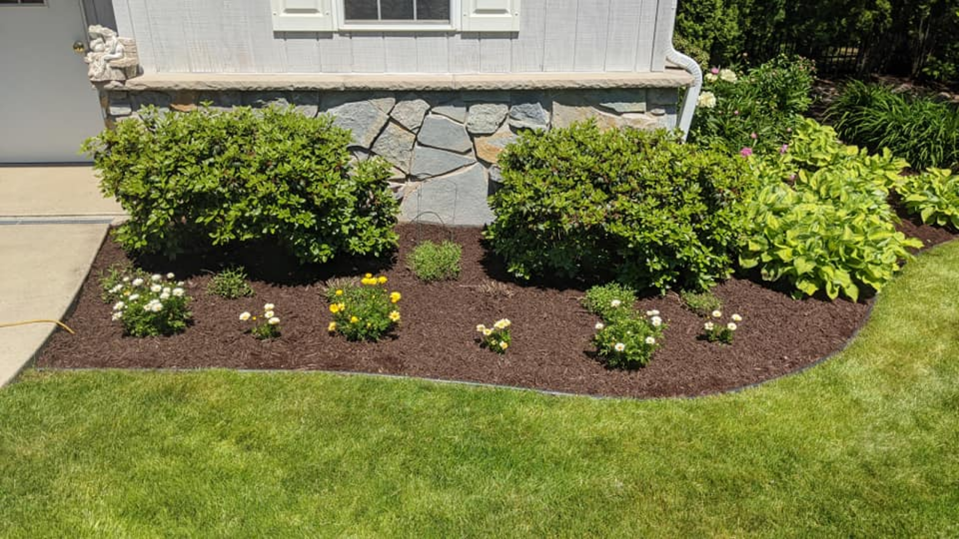 Flowerbed with green bushes and flowers, mulched with dark brown. Next to a grassy lawn.