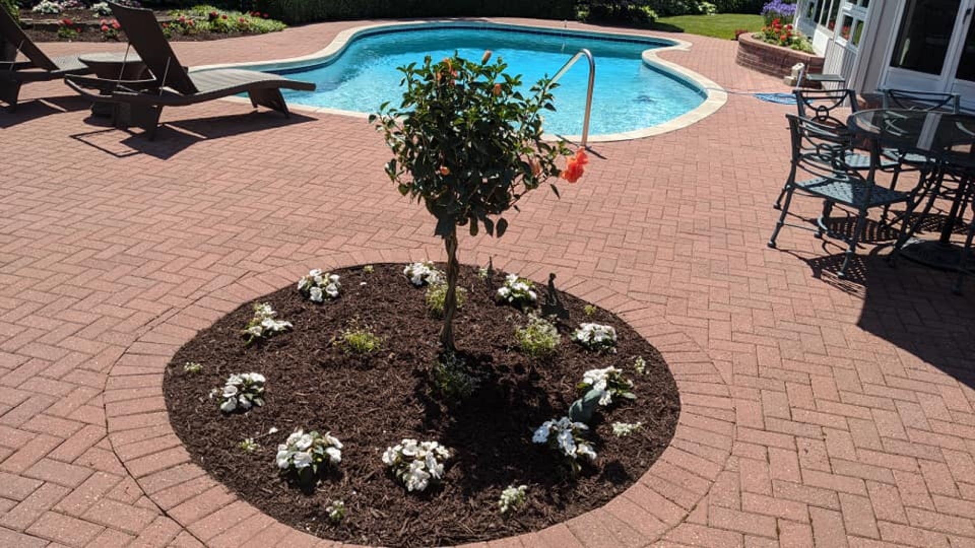 Brick patio with a kidney-shaped pool. A small tree in a circular flower bed sits in the center.