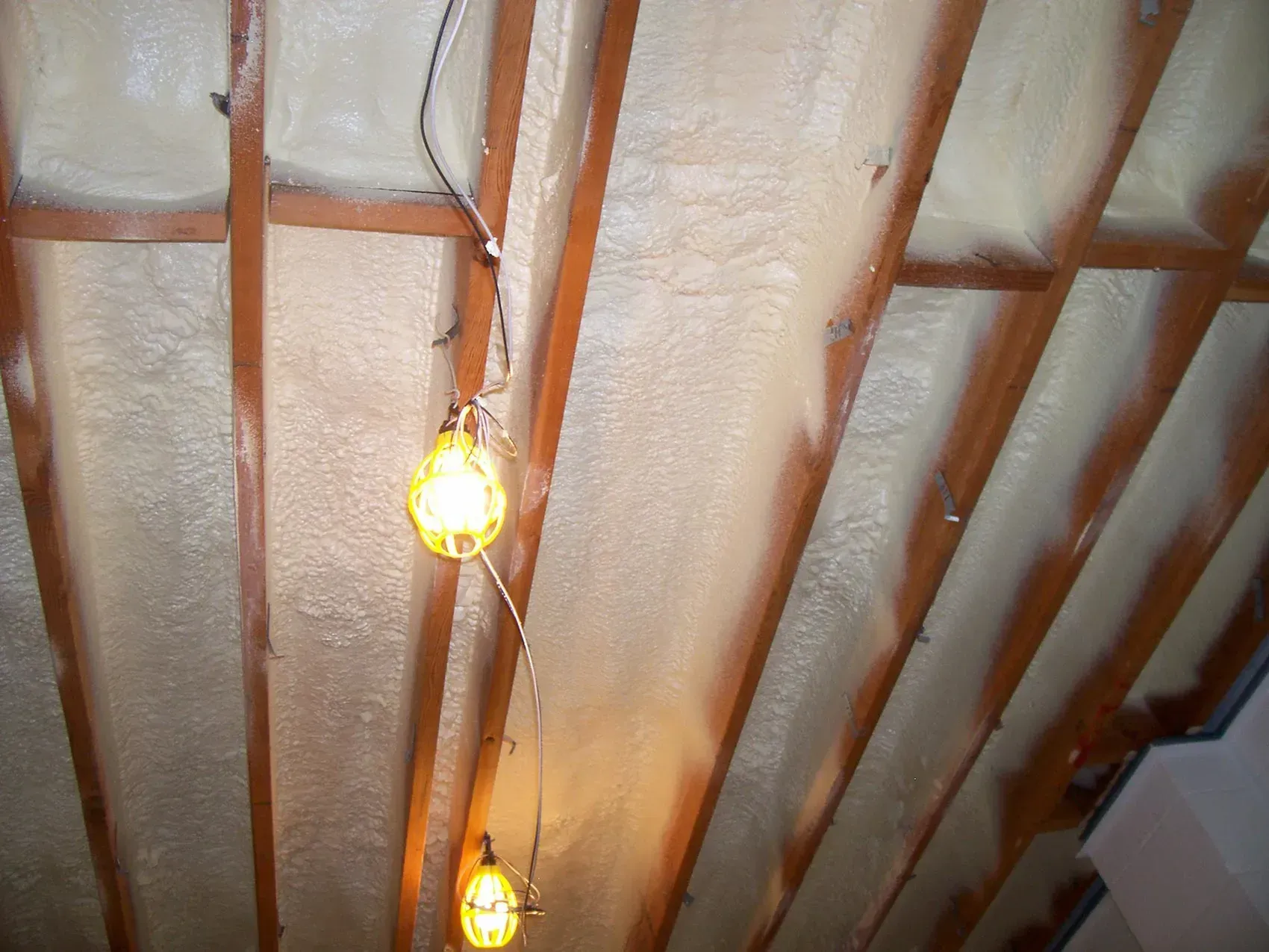 Exposed wooden rafters with two hanging bare bulbs in a ceiling space