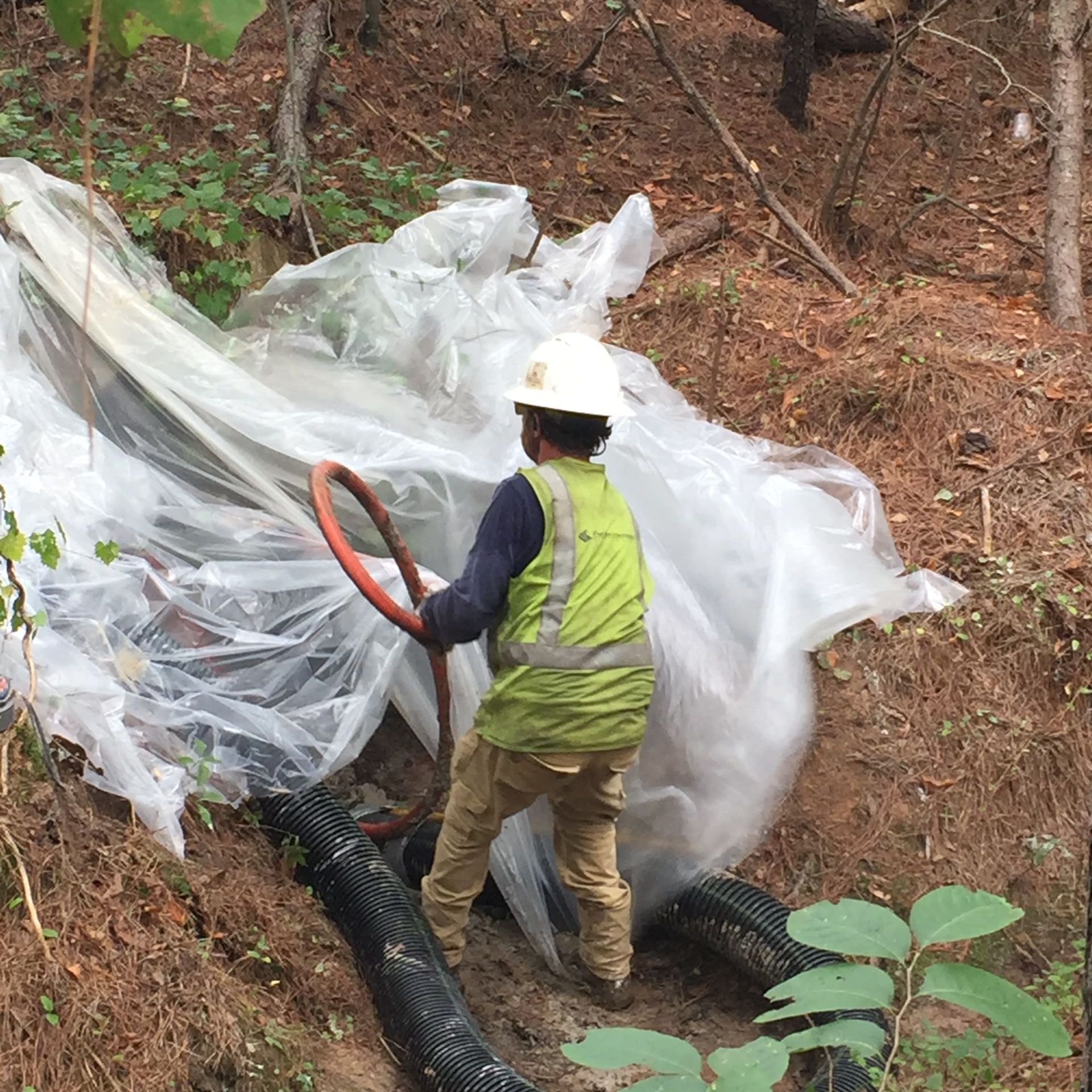 Worker in a forest, holding a hose under plastic sheeting. They are wearing a hard hat and vest.