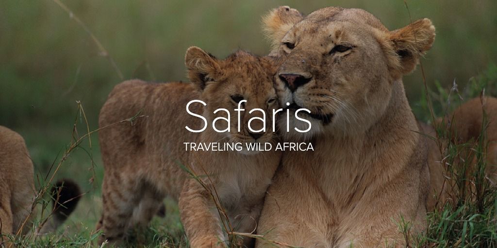 Safaris