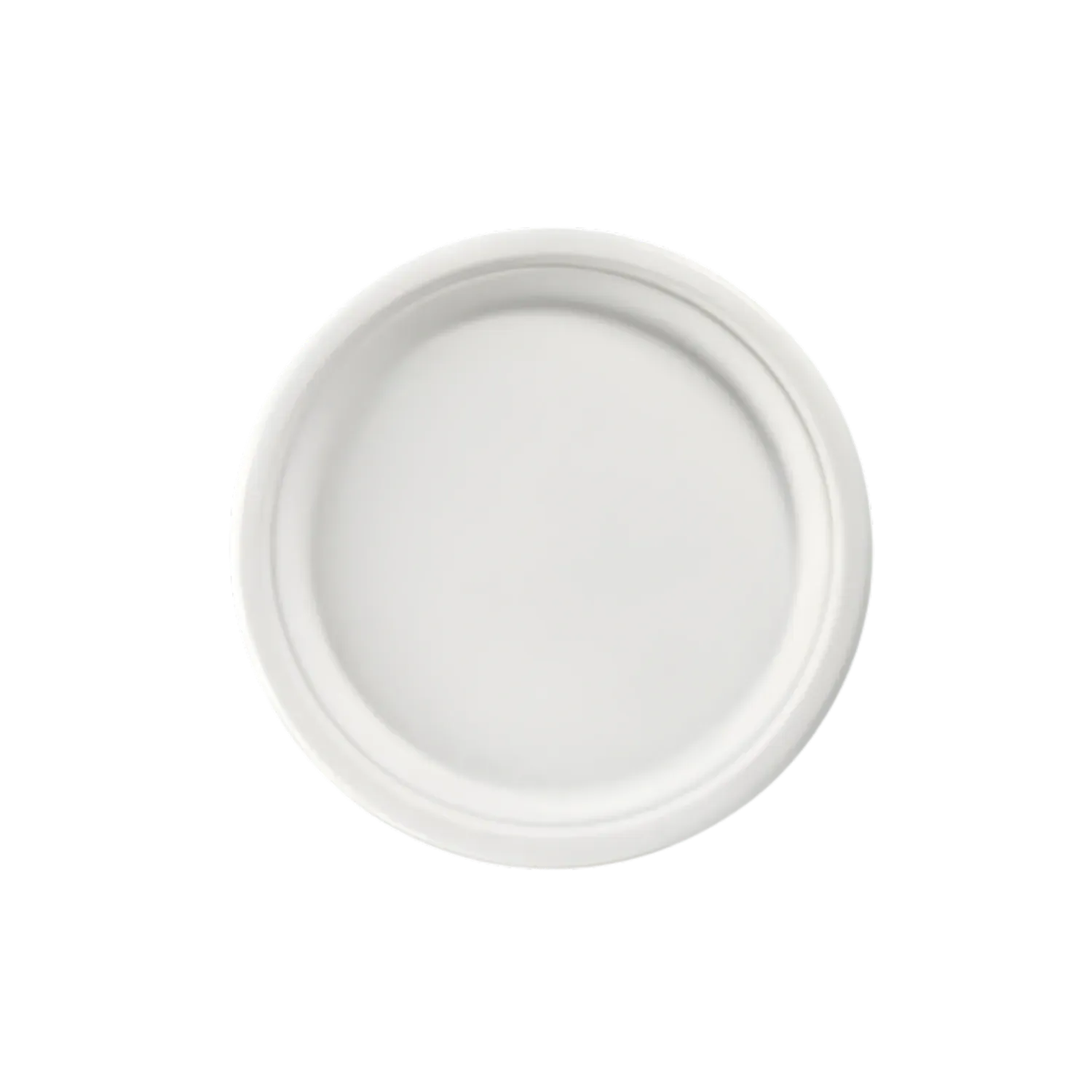 Bagasse