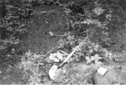 Archaeological Surveys | Altamont, NY | 518-248-2055