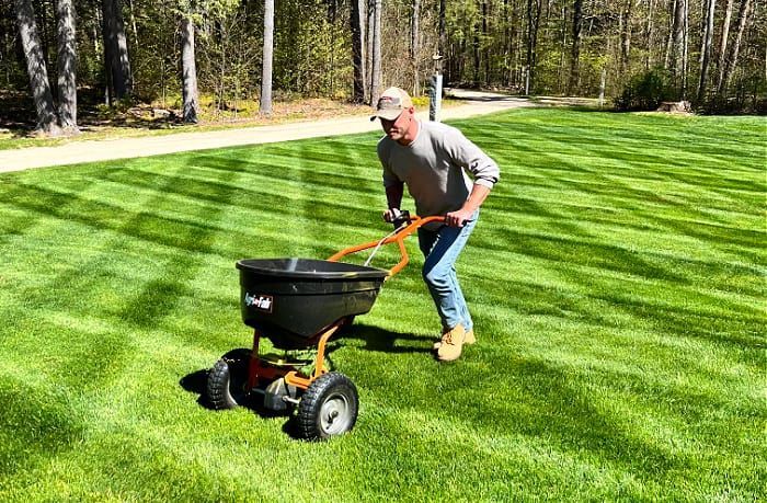 Person spreading fertilizer on a striped green lawn with a push spreader