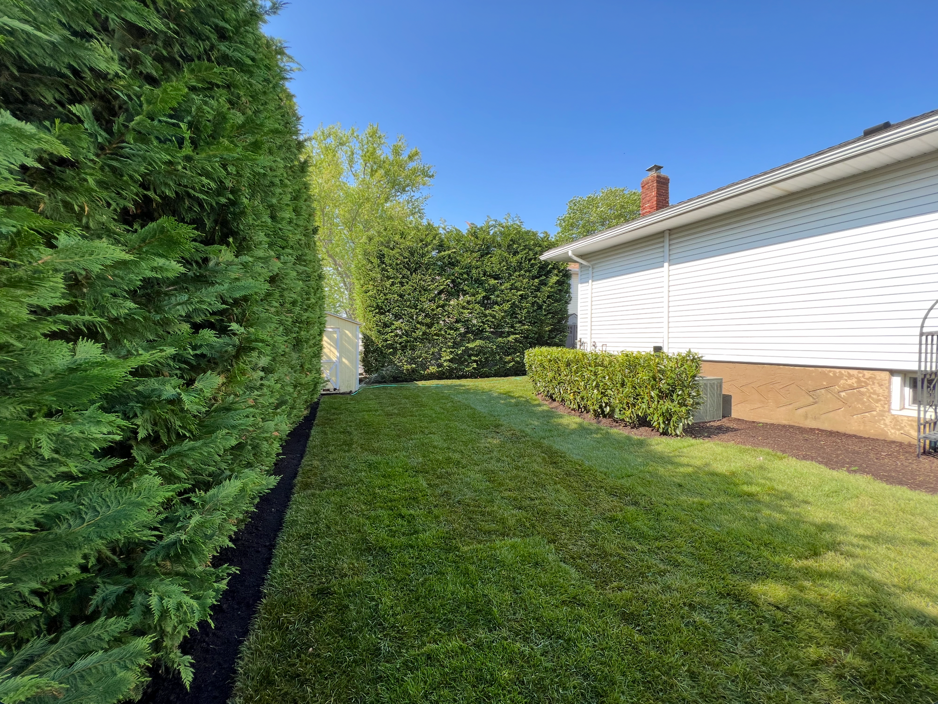 Manicured garden with bright green lawn and colorful flowering shrubs along the edges