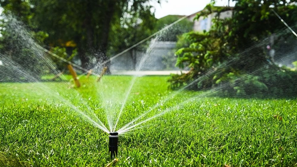 Sprinkler watering a lush green lawn in a sunny garden yard
