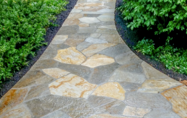 Stone garden path bordered by lush green shrubs