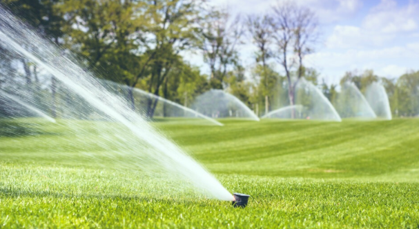 Automatic sprinklers watering a lush green lawn on a sunny day